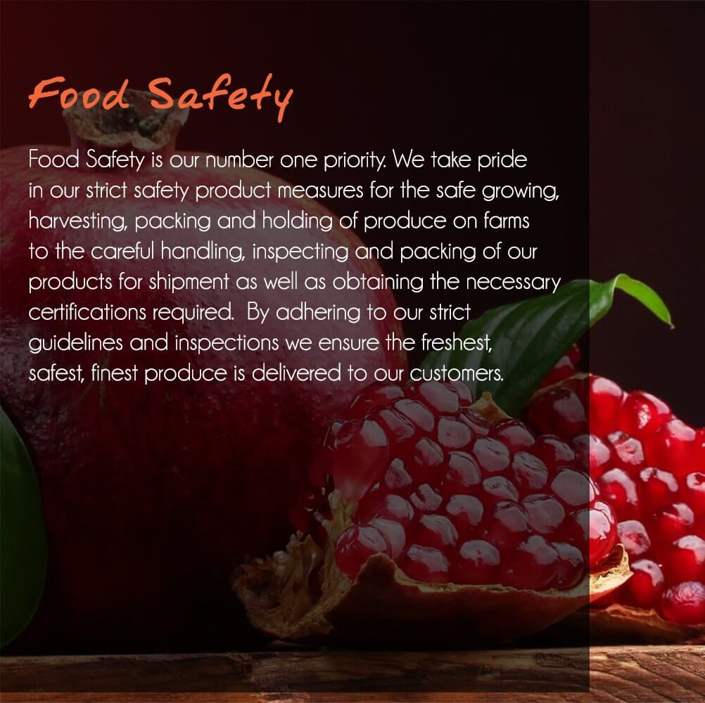Food Safety