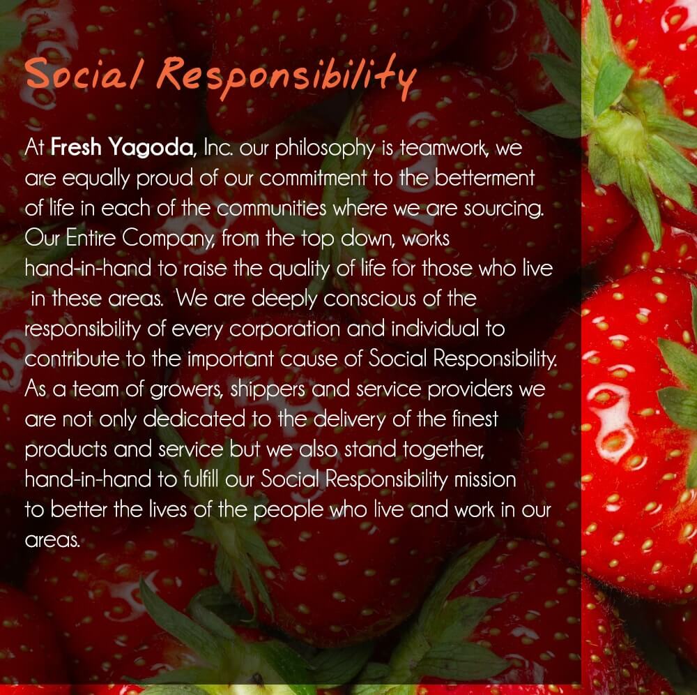 Social Responsibility